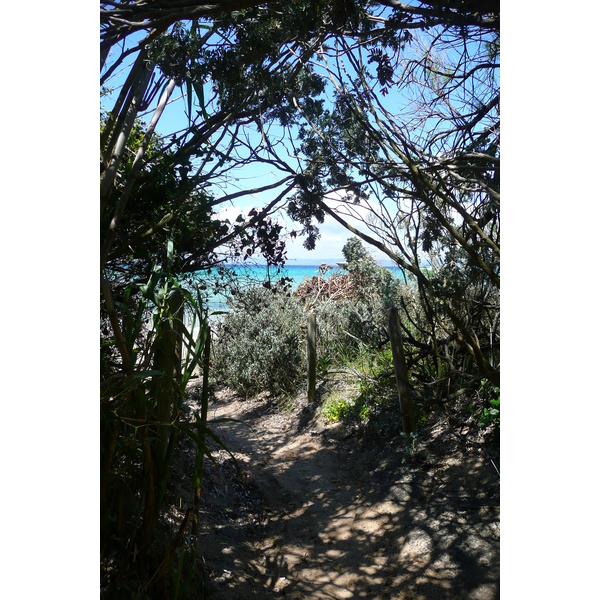 Picture France Porquerolles Island Courtade beach 2008-05 14 - Journey Courtade beach