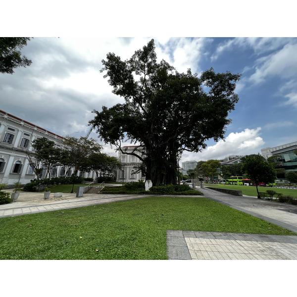 Picture Singapore Fort Canning Park 2023-01 1 - Journey Fort Canning Park