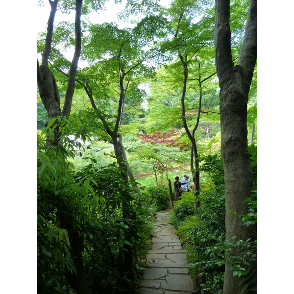 Picture Japan Tokyo Nezu Museum 2010-06 92 - Around Nezu Museum