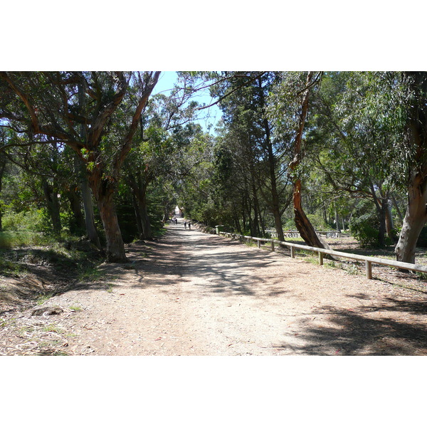 Picture France Porquerolles Island Plaine de la courtade 2008-05 26 - Journey Plaine de la courtade