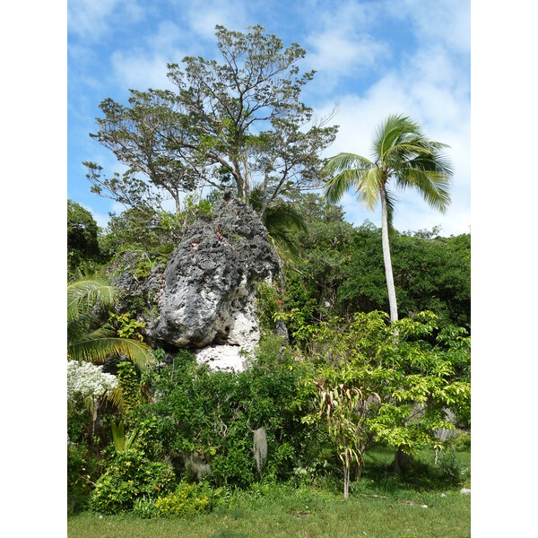 Picture New Caledonia Lifou Josip 2010-05 18 - Journey Josip