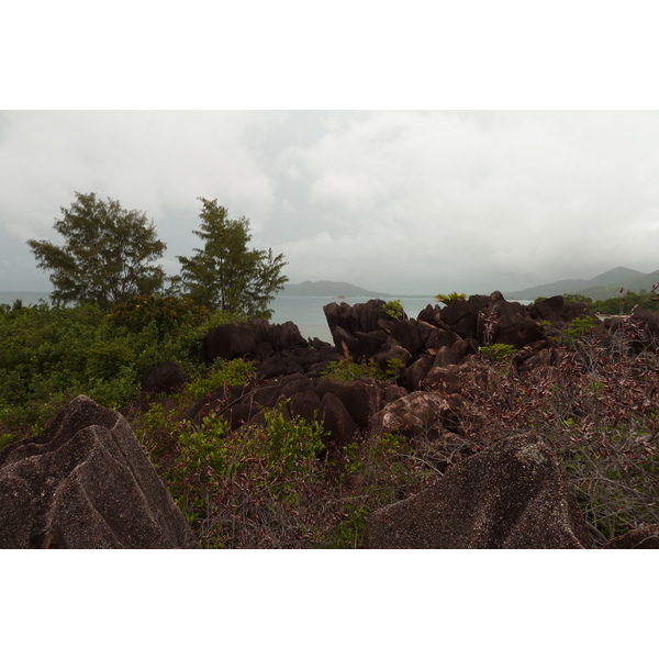 Picture Seychelles Curieuse 2011-10 24 - Tours Curieuse