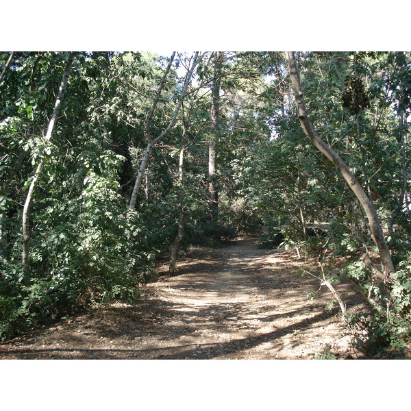 Picture France Villeneuve Loubet Parc de Vaugrenier 2006-09 13 - Discovery Parc de Vaugrenier