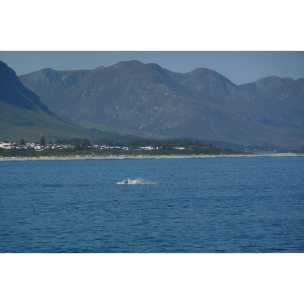 Picture South Africa Harmanus 2008-09 157 - Journey Harmanus