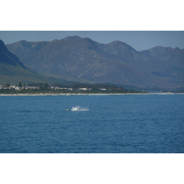 Picture South Africa Harmanus 2008-09 173 - Tours Harmanus