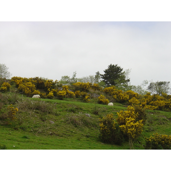 Picture Ireland Kerry Kenmare Templenoe 2004-05 11 - Tour Templenoe