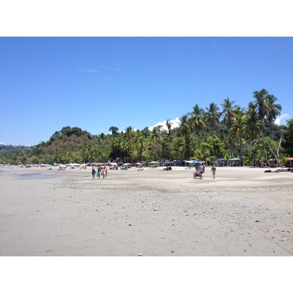 Picture Costa Rica Manuel Antonio 2015-03 439 - Discovery Manuel Antonio