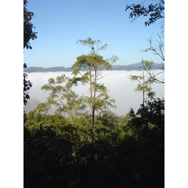 Picture Thailand Pang ma pha 2005-12 146 - Journey Pang ma pha