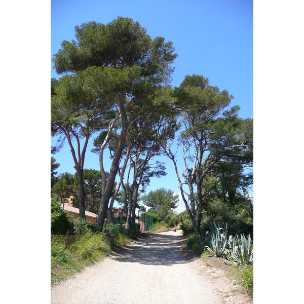 Picture France Porquerolles Island Pointe Bearlieu 2008-05 0 - Discovery Pointe Bearlieu