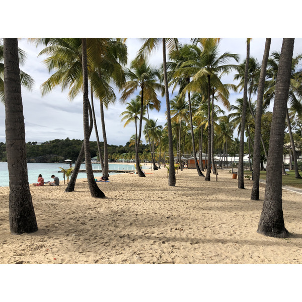 Picture Guadeloupe La Caravelle Beach 2021-02 128 - Tour La Caravelle Beach