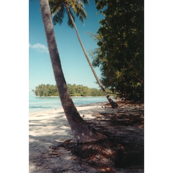 Picture Polynesia Moorea 1993-04 24 - Tours Moorea