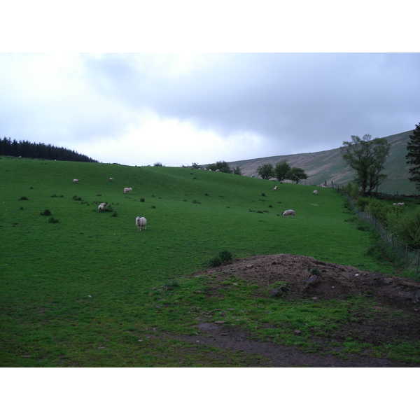 Picture United Kingdom Brecon Beacons National Parc 2006-05 100 - Tour Brecon Beacons National Parc