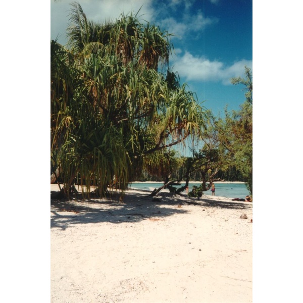 Picture Polynesia Moorea 1993-04 32 - Center Moorea