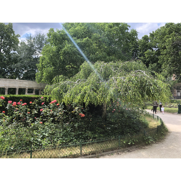 Picture France Paris Monceau Garden 2020-06 1 - History Monceau Garden