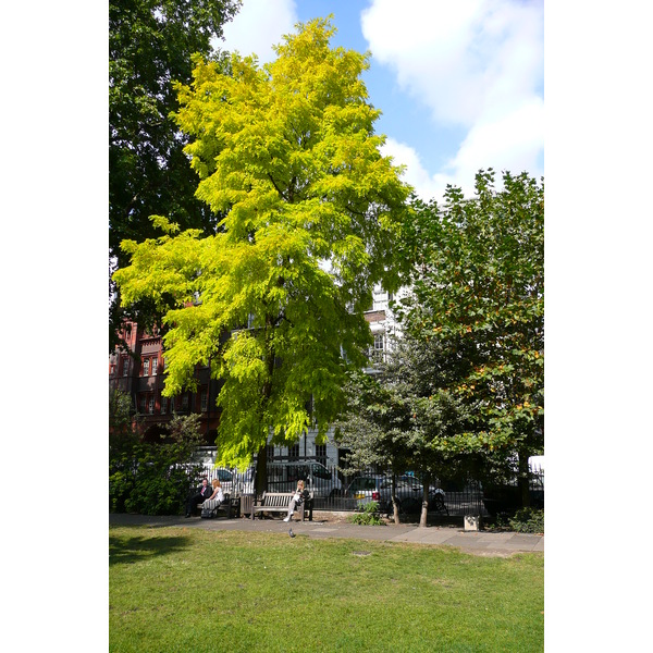 Picture United Kingdom London Soho Square 2007-09 52 - Tours Soho Square