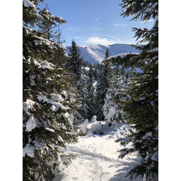 Picture France Praz sur Arly 2019-12 517 - Discovery Praz sur Arly