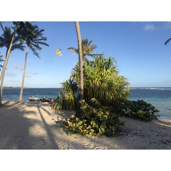 Picture Guadeloupe La Caravelle Beach 2021-02 131 - Tours La Caravelle Beach