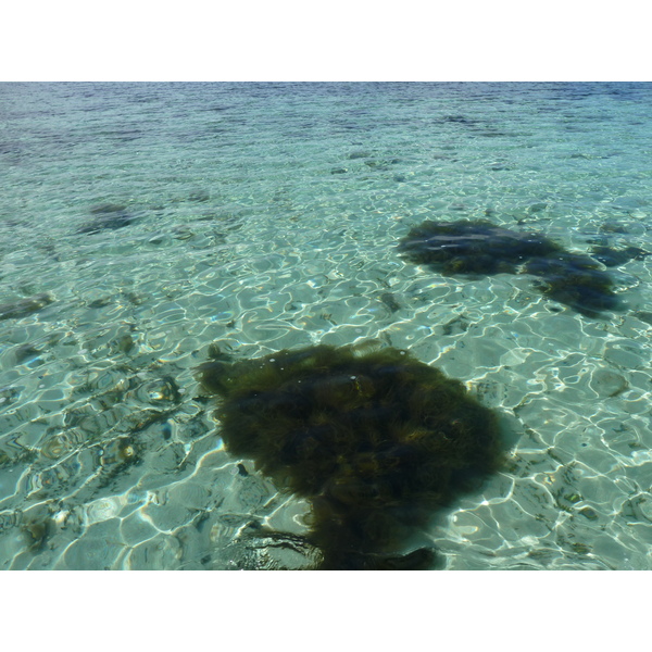 Picture Fiji Amunuca Island Resort 2010-05 4 - Tour Amunuca Island Resort