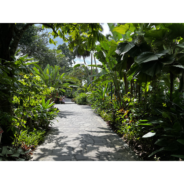 Picture Singapore Singapore Botanic Gardens 2023-01 81 - History Singapore Botanic Gardens