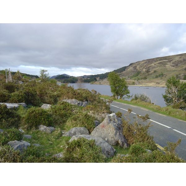 Picture Ireland Kerry Killarney National Park 2004-05 37 - Center Killarney National Park