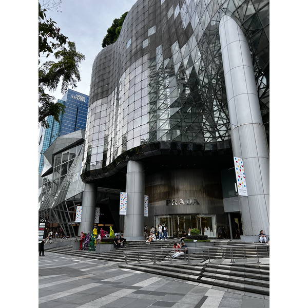 Picture Singapore Orchard road 2023-01 41 - Tours Orchard road