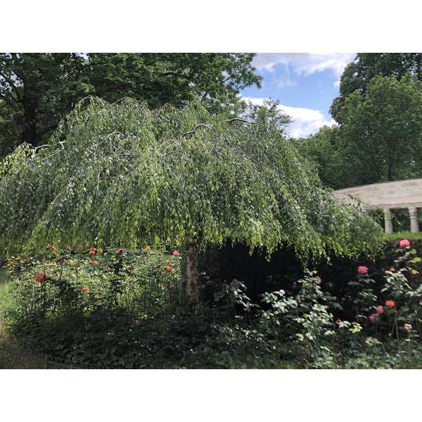 Picture France Paris Monceau Garden 2020-06 0 - History Monceau Garden