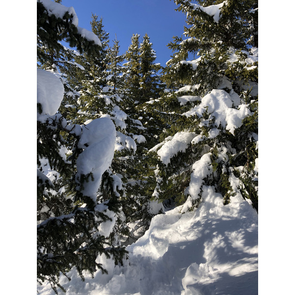 Picture France Praz sur Arly 2019-12 288 - Recreation Praz sur Arly