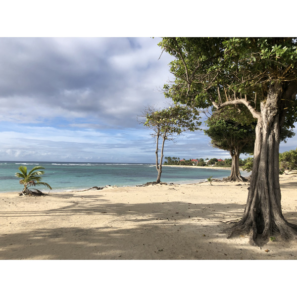 Picture Guadeloupe Saint Francois 2021-02 9 - Around Saint Francois