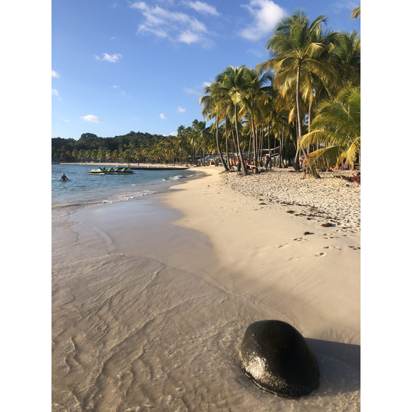 Picture Guadeloupe La Caravelle Beach 2021-02 15 - Discovery La Caravelle Beach