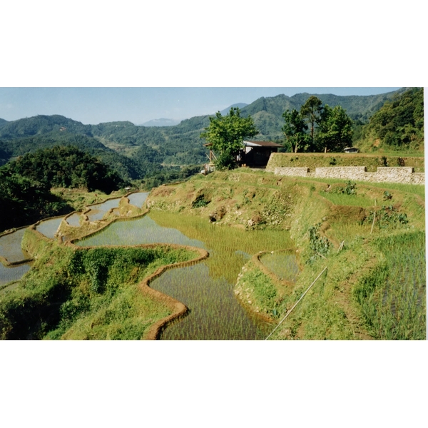 Picture Philippines Banaue 1997-03 7 - Center Banaue