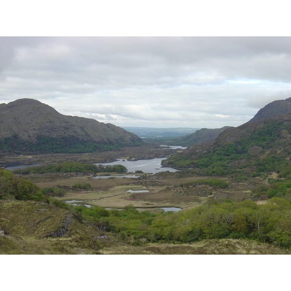 Picture Ireland Kerry Killarney National Park 2004-05 43 - Center Killarney National Park