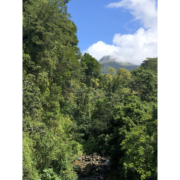 Picture Guadeloupe La Grande Soufriere 2021-02 21 - History La Grande Soufriere