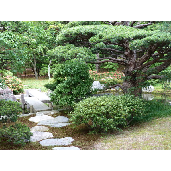 Picture Japan Kyoto Kyoto Imperial Palace 2010-06 111 - Center Kyoto Imperial Palace