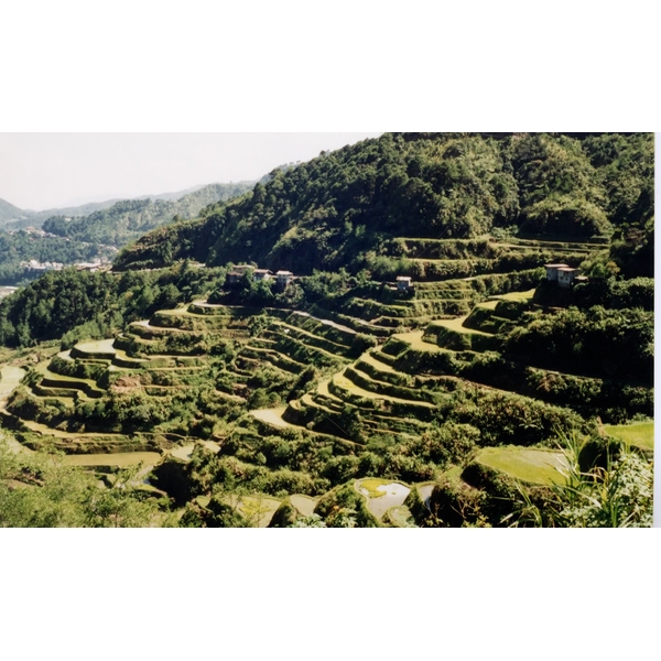 Picture Philippines Banaue 1997-03 10 - Around Banaue