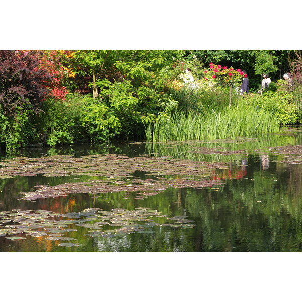 Picture France Giverny 2013-06 84 - Center Giverny