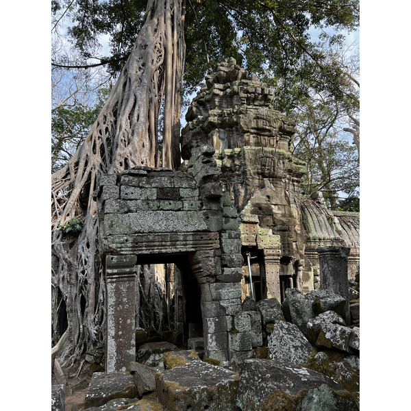 Picture Cambodia Siem Reap Ta Prohm 2023-01 152 - Journey Ta Prohm