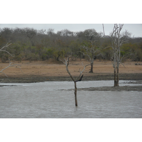 Picture South Africa Kruger National Park Mpondo 2008-09 31 - Tour Mpondo