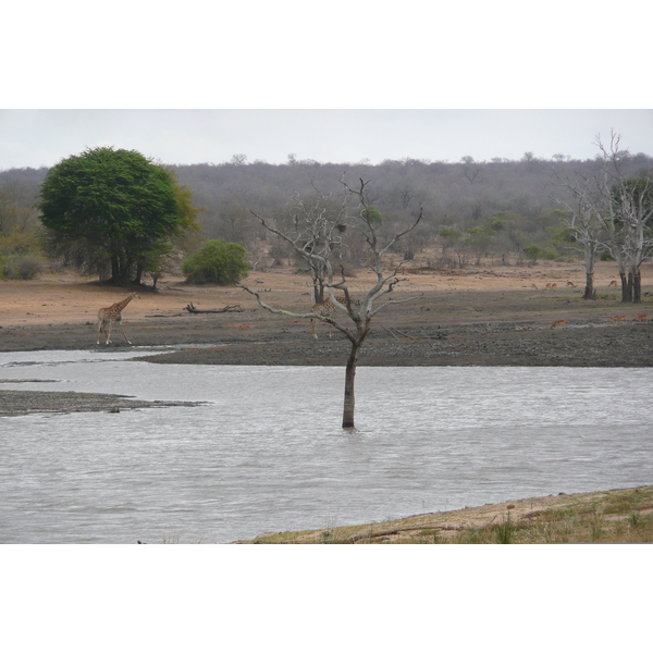 Picture South Africa Kruger National Park Mpondo 2008-09 16 - Tour Mpondo