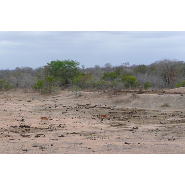 Picture South Africa Kruger National Park Mpondo 2008-09 19 - History Mpondo