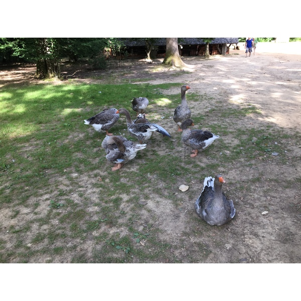 Picture France Guedelon 2017-07 5 - Tour Guedelon