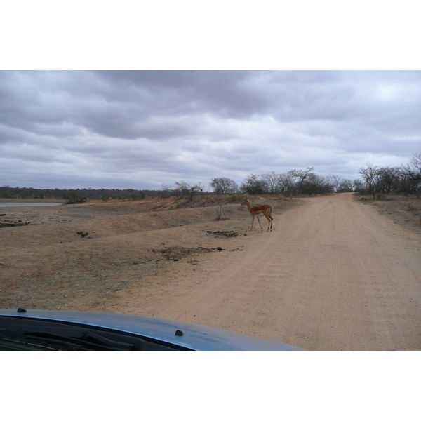 Picture South Africa Kruger National Park Mpondo 2008-09 13 - Tour Mpondo