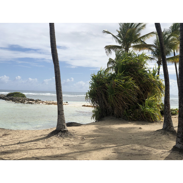 Picture Guadeloupe La Caravelle Beach 2021-02 117 - Journey La Caravelle Beach