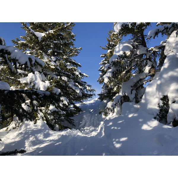 Picture France Praz sur Arly 2019-12 189 - Center Praz sur Arly