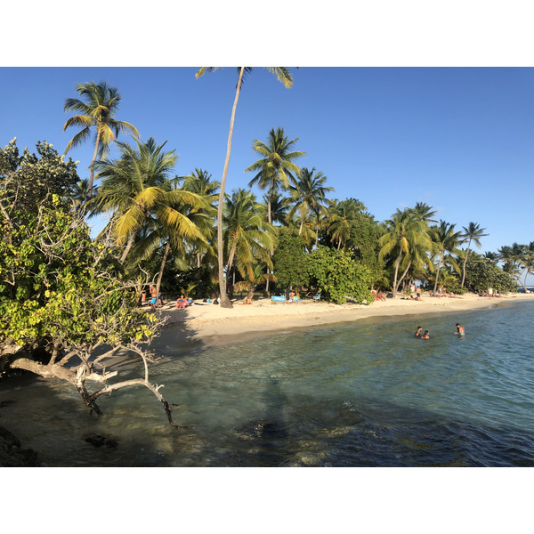 Picture Guadeloupe La Caravelle Beach 2021-02 152 - Journey La Caravelle Beach