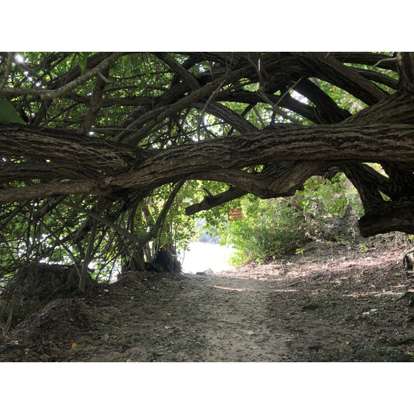 Picture Guadeloupe Petit Havre Beach 2021-02 23 - History Petit Havre Beach