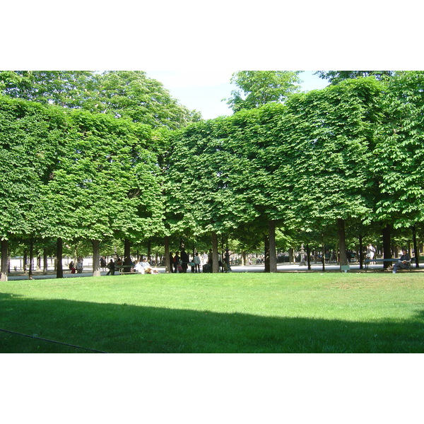 Picture France Paris Garden of Tuileries 2007-05 353 - Discovery Garden of Tuileries