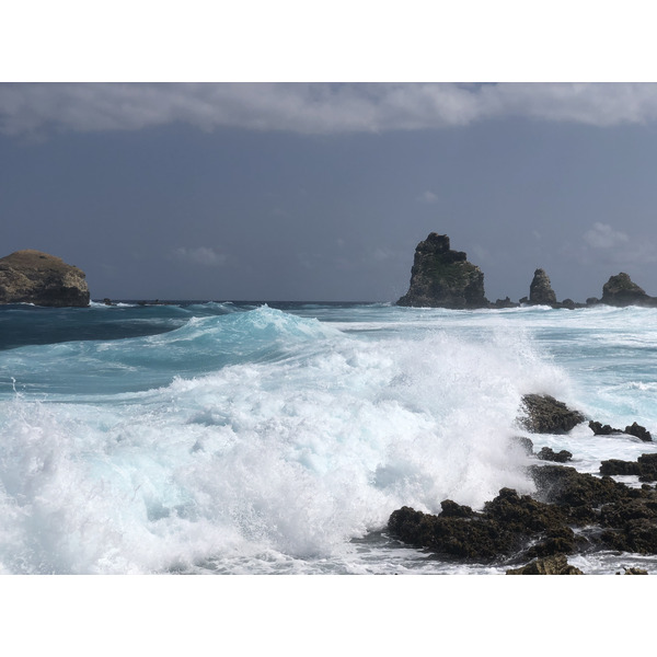 Picture Guadeloupe Castle Point 2021-02 339 - Around Castle Point