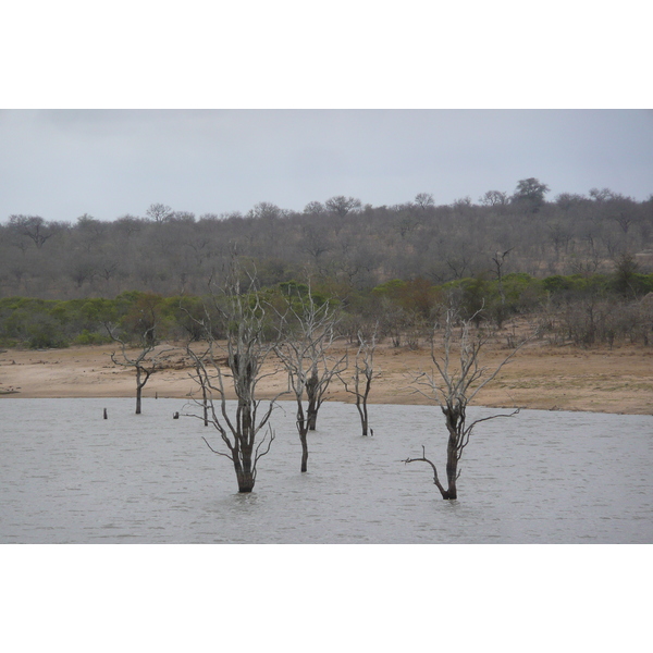 Picture South Africa Kruger National Park Mpondo 2008-09 2 - Discovery Mpondo