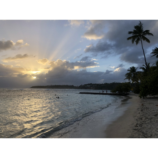 Picture Guadeloupe Sainte Anne 2021-02 48 - Around Sainte Anne