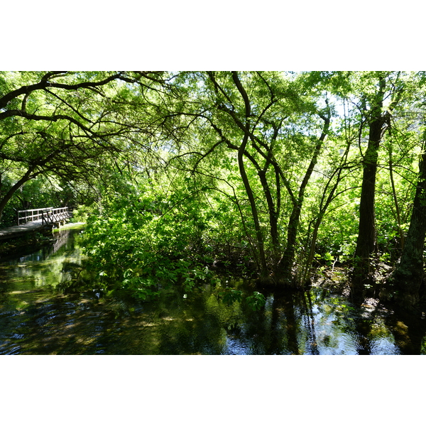 Picture Croatia Krka National Park 2016-04 64 - Around Krka National Park